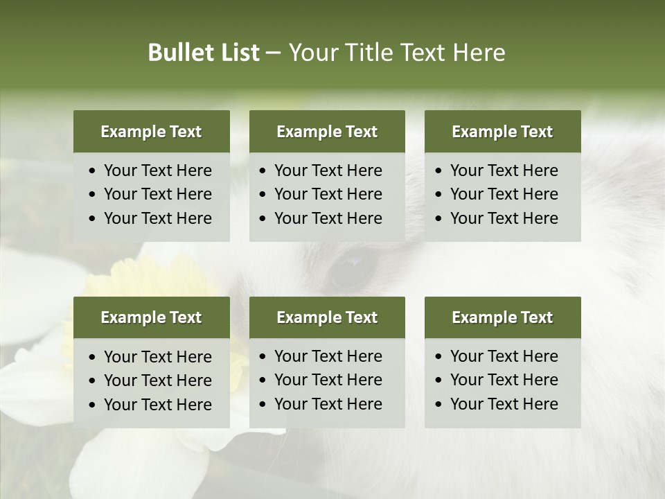 Cuddly Mammal Fuzzy PowerPoint Template