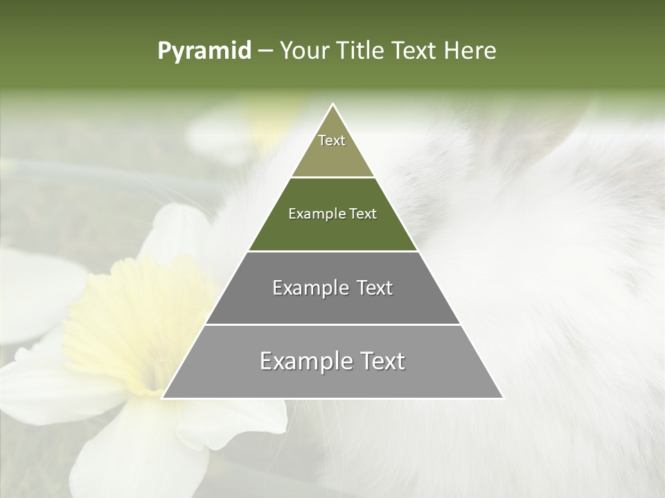 Cuddly Mammal Fuzzy PowerPoint Template