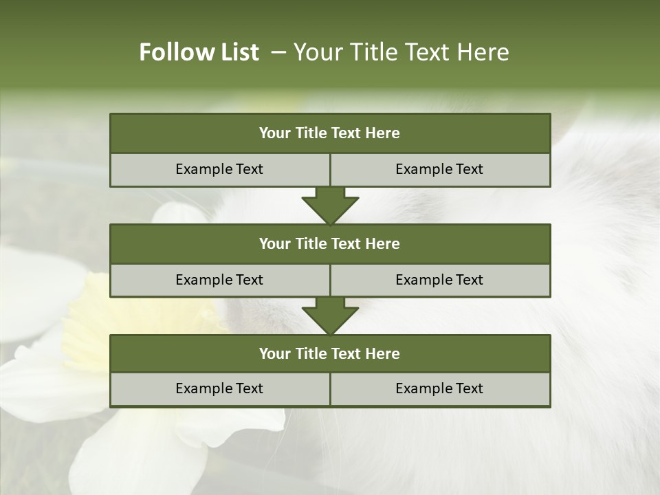 Cuddly Mammal Fuzzy PowerPoint Template
