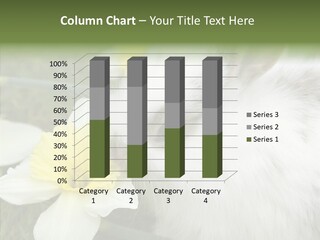 Cuddly Mammal Fuzzy PowerPoint Template