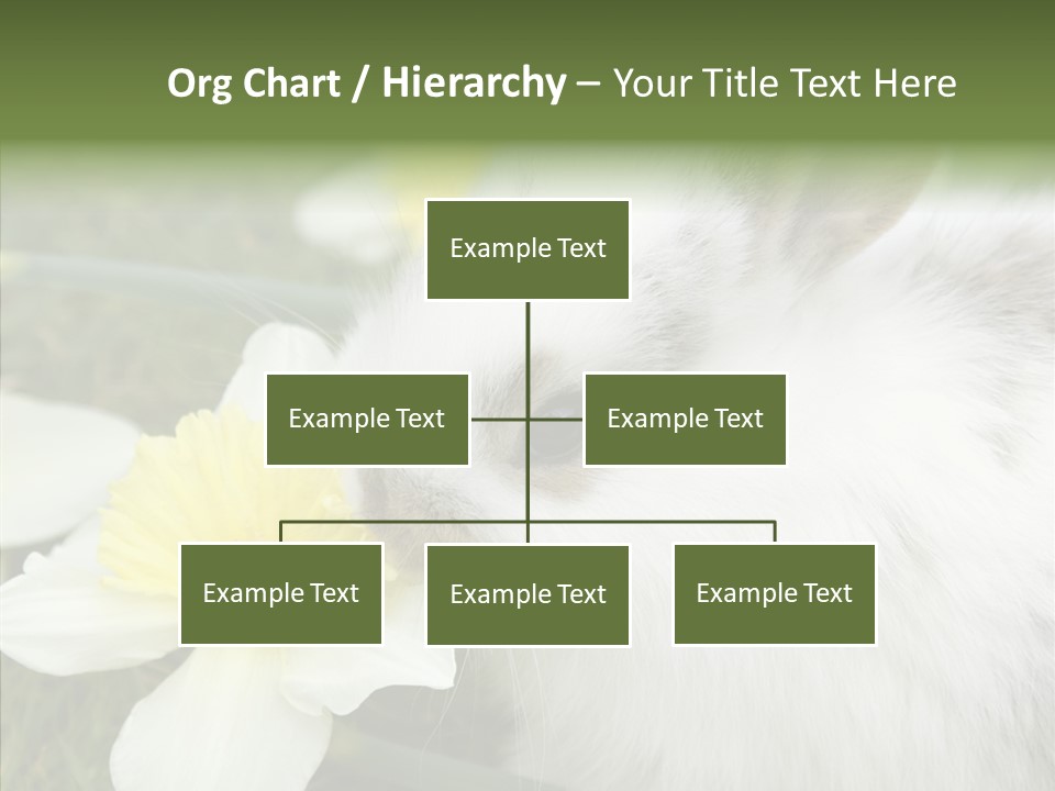 Cuddly Mammal Fuzzy PowerPoint Template