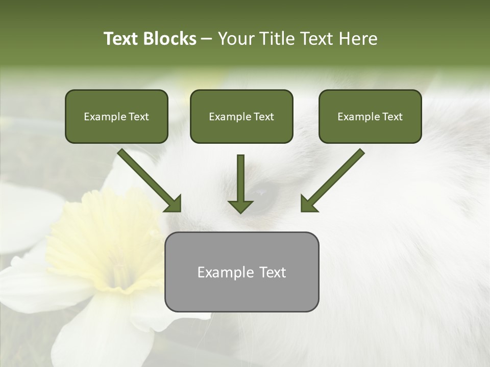 Cuddly Mammal Fuzzy PowerPoint Template