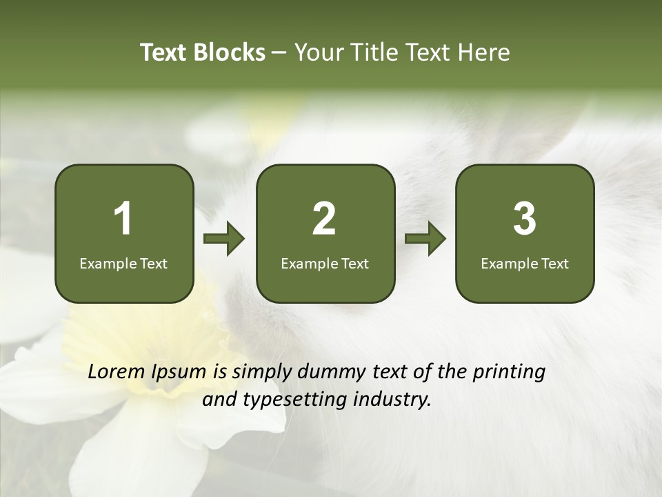 Cuddly Mammal Fuzzy PowerPoint Template