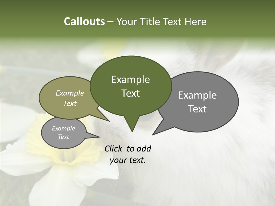 Cuddly Mammal Fuzzy PowerPoint Template