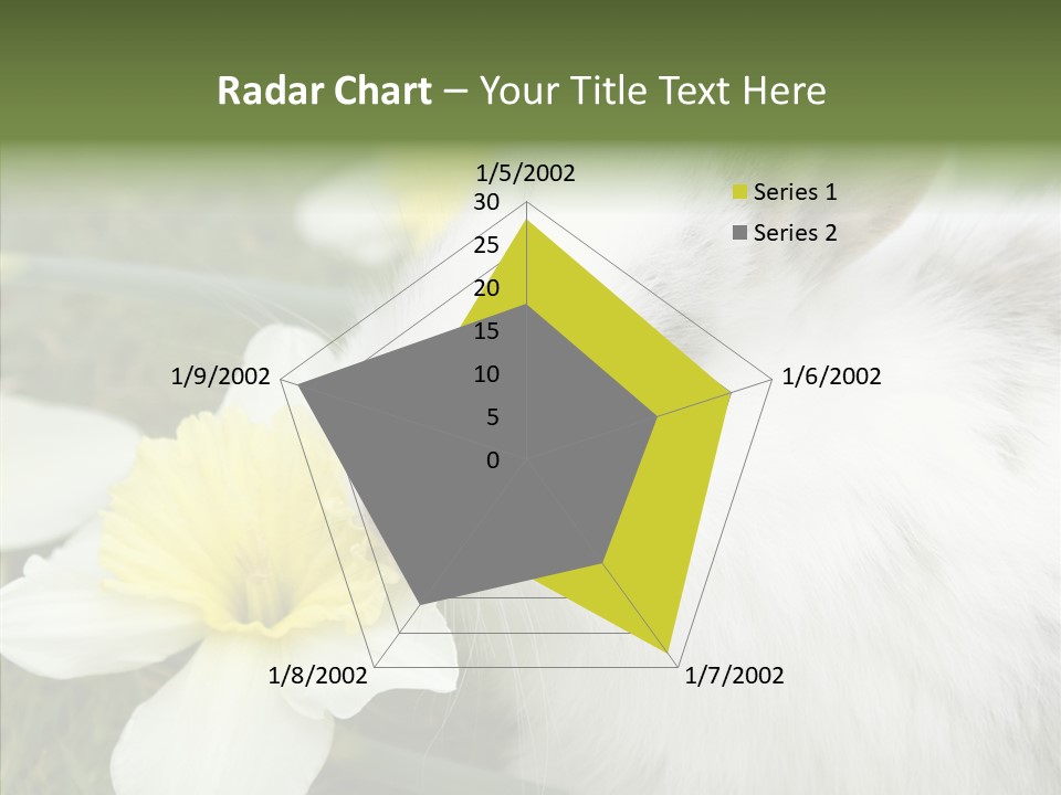 Cuddly Mammal Fuzzy PowerPoint Template