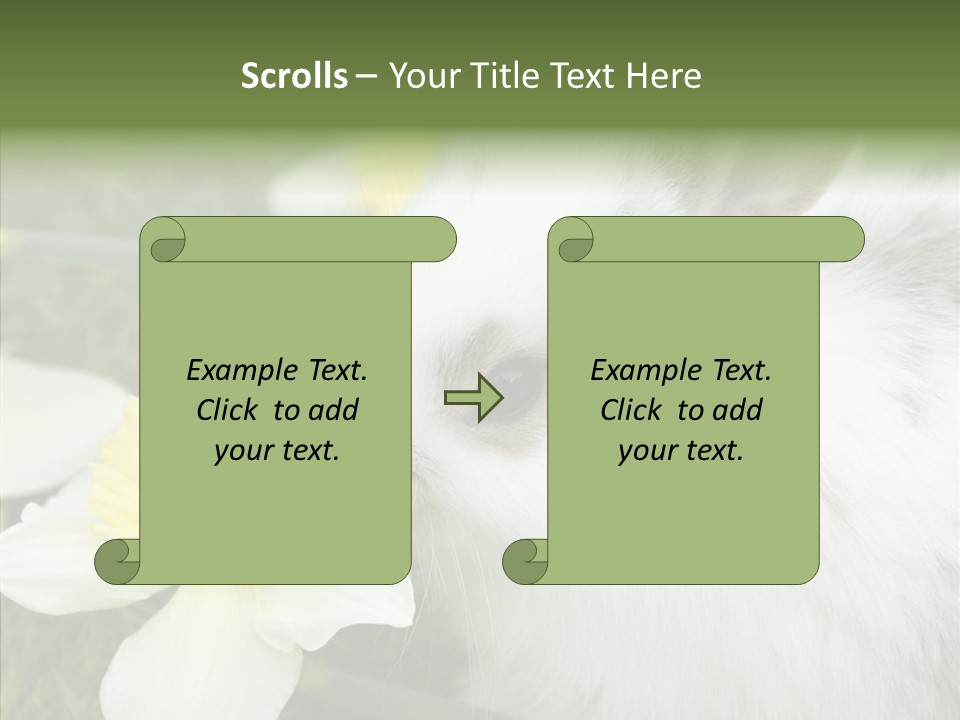 Cuddly Mammal Fuzzy PowerPoint Template