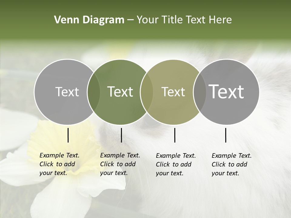 Cuddly Mammal Fuzzy PowerPoint Template