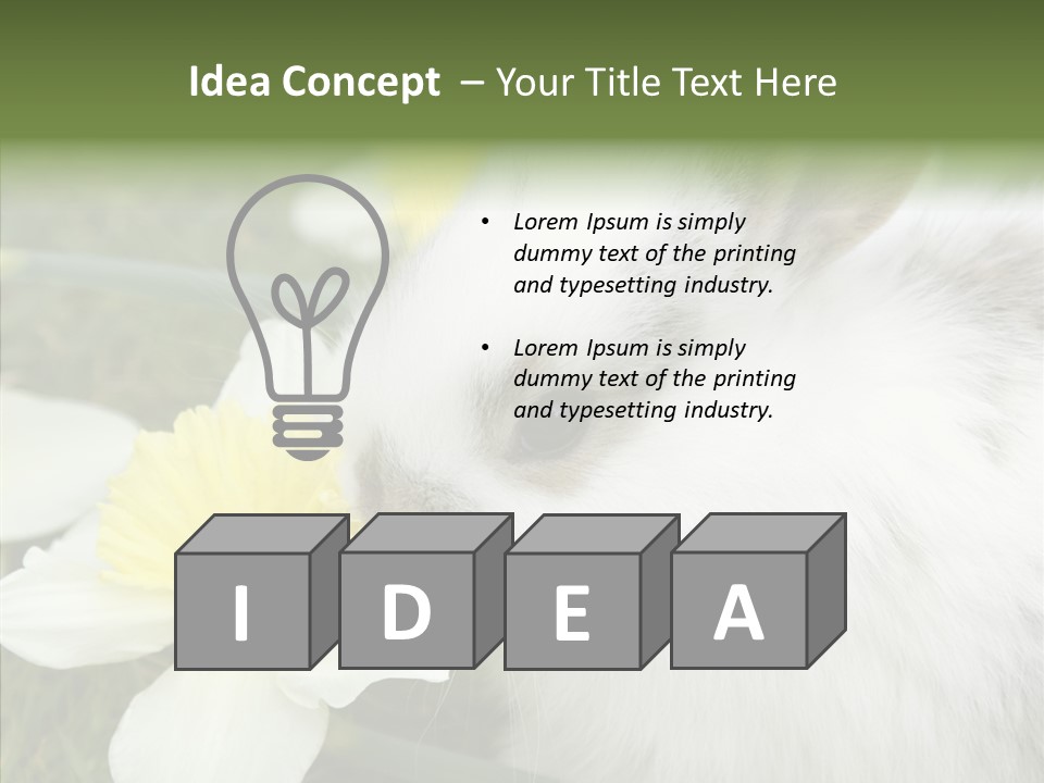 Cuddly Mammal Fuzzy PowerPoint Template