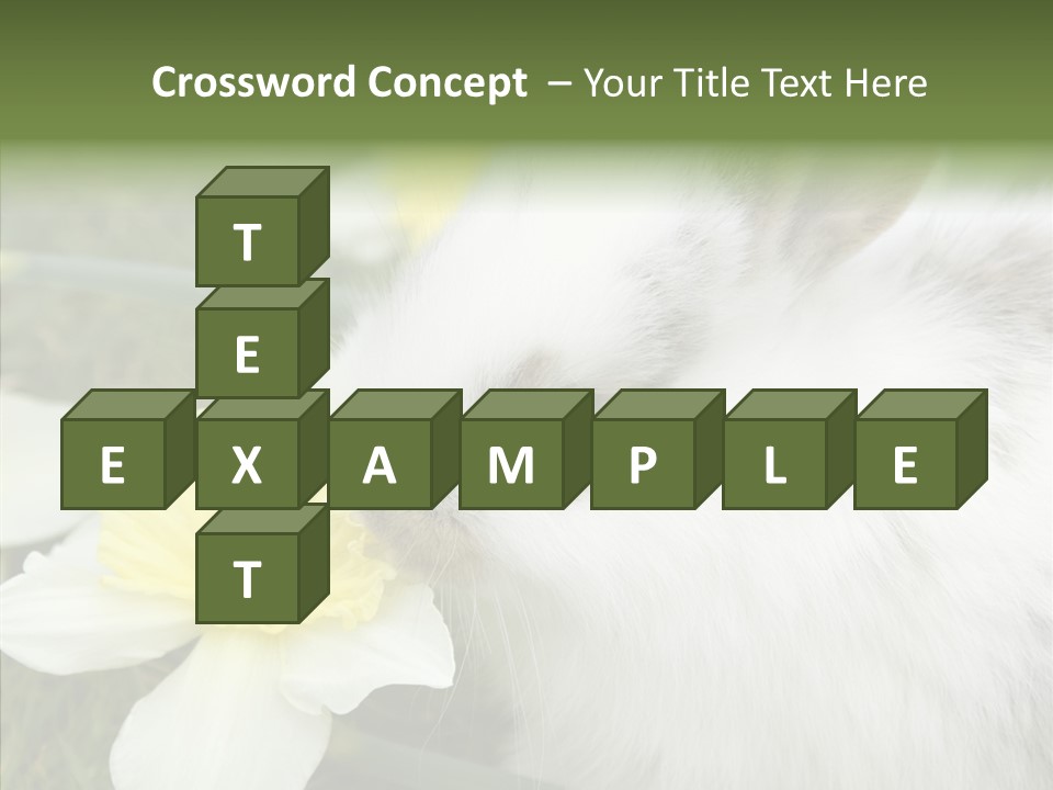 Cuddly Mammal Fuzzy PowerPoint Template