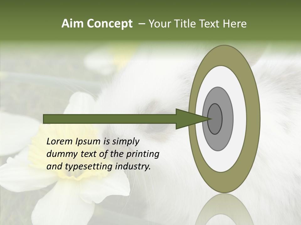 Cuddly Mammal Fuzzy PowerPoint Template