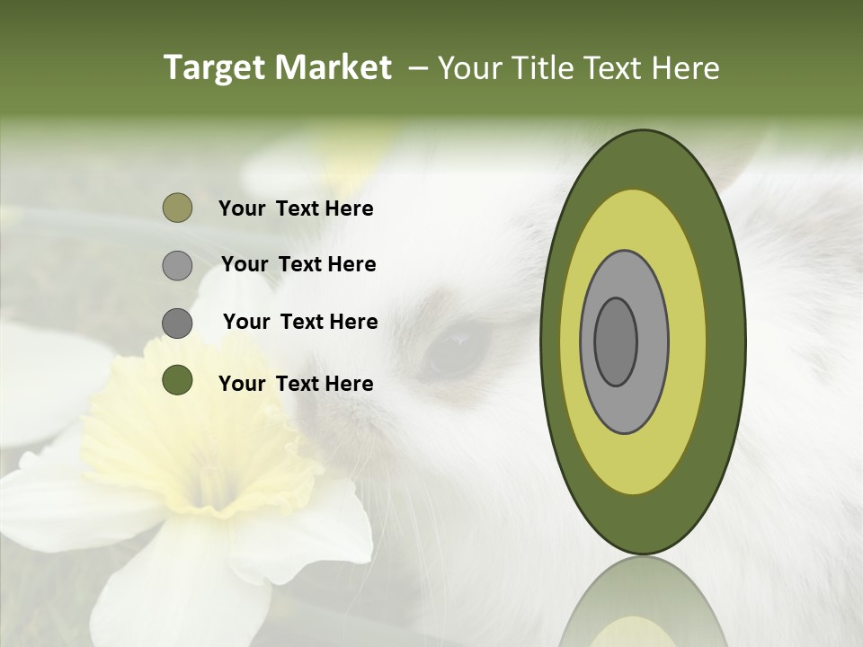 Cuddly Mammal Fuzzy PowerPoint Template