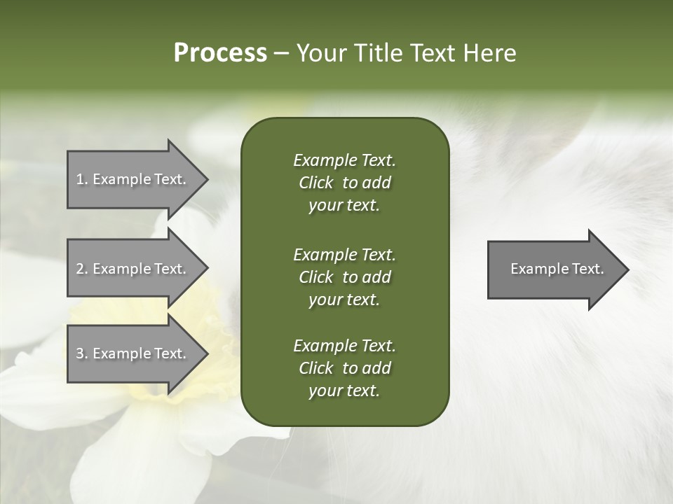 Cuddly Mammal Fuzzy PowerPoint Template