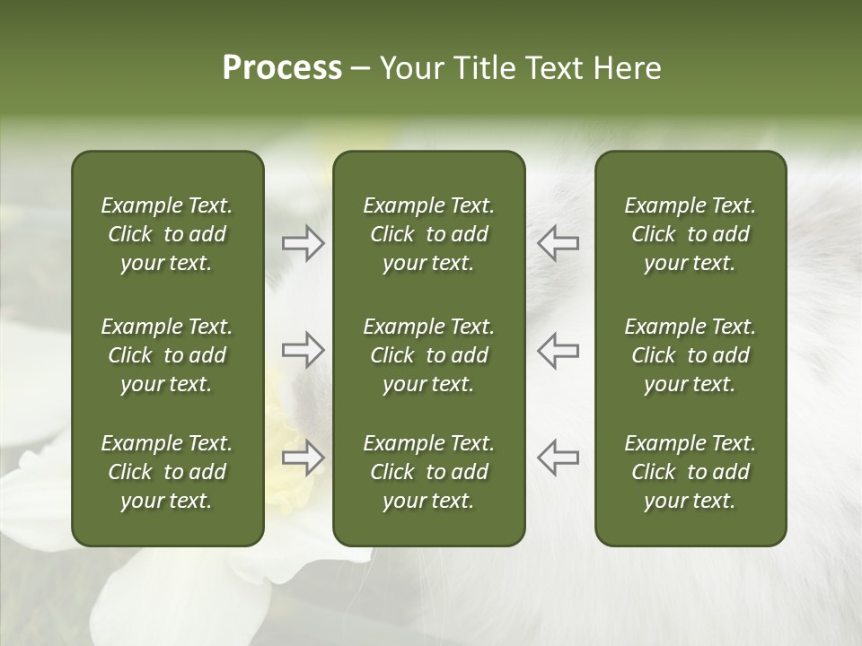 Cuddly Mammal Fuzzy PowerPoint Template