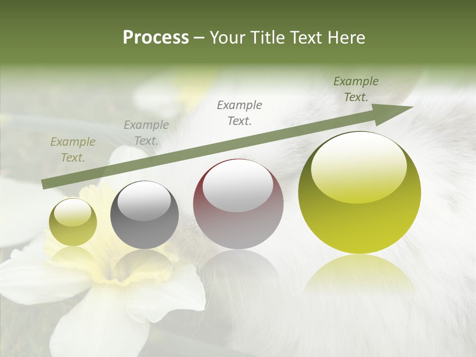 Cuddly Mammal Fuzzy PowerPoint Template