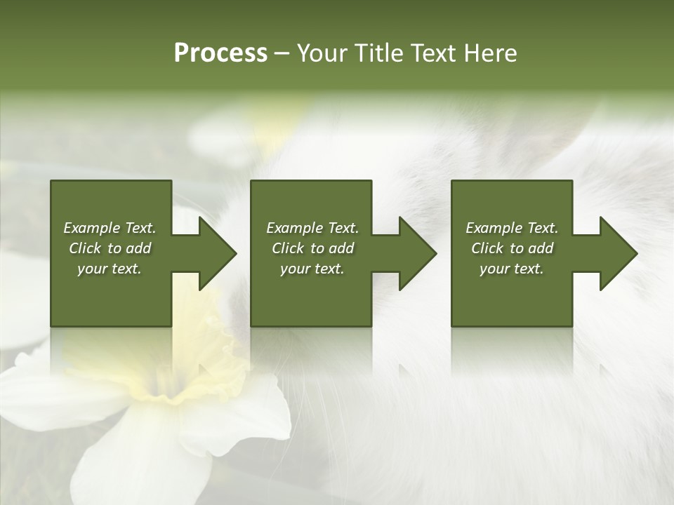 Cuddly Mammal Fuzzy PowerPoint Template