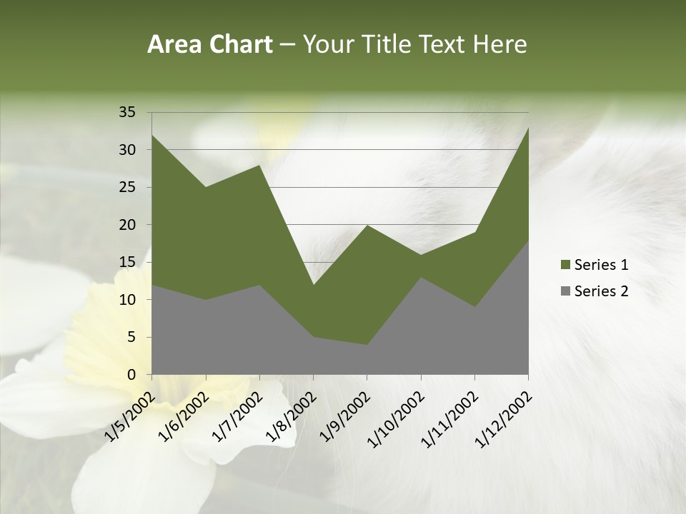 Cuddly Mammal Fuzzy PowerPoint Template