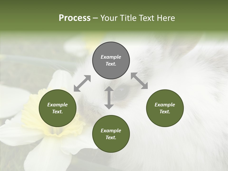 Cuddly Mammal Fuzzy PowerPoint Template