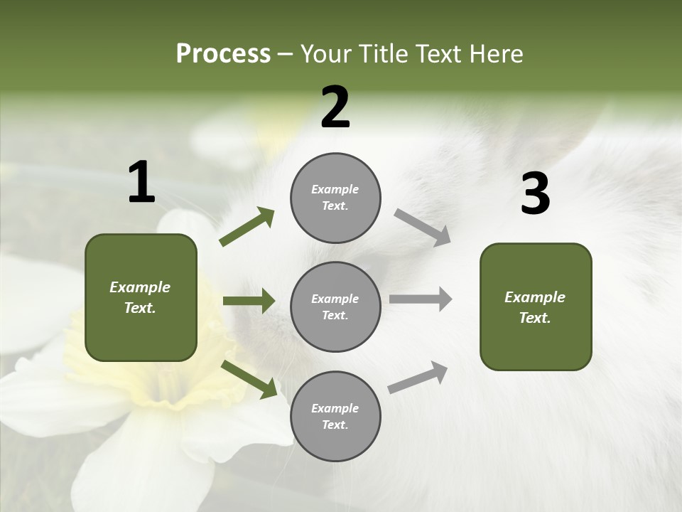 Cuddly Mammal Fuzzy PowerPoint Template