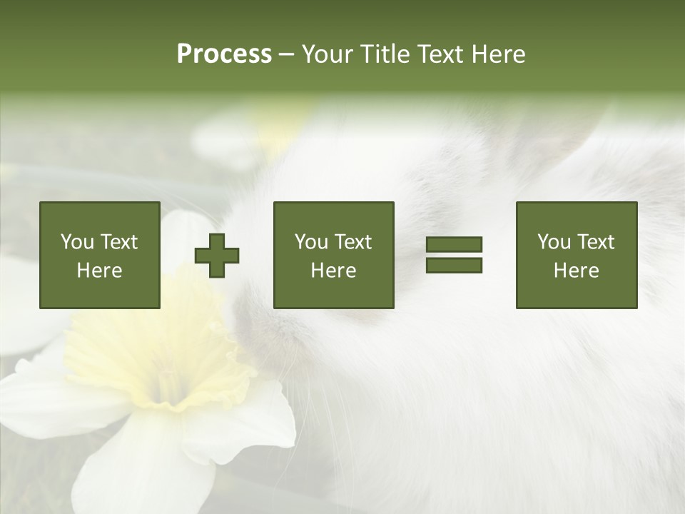 Cuddly Mammal Fuzzy PowerPoint Template