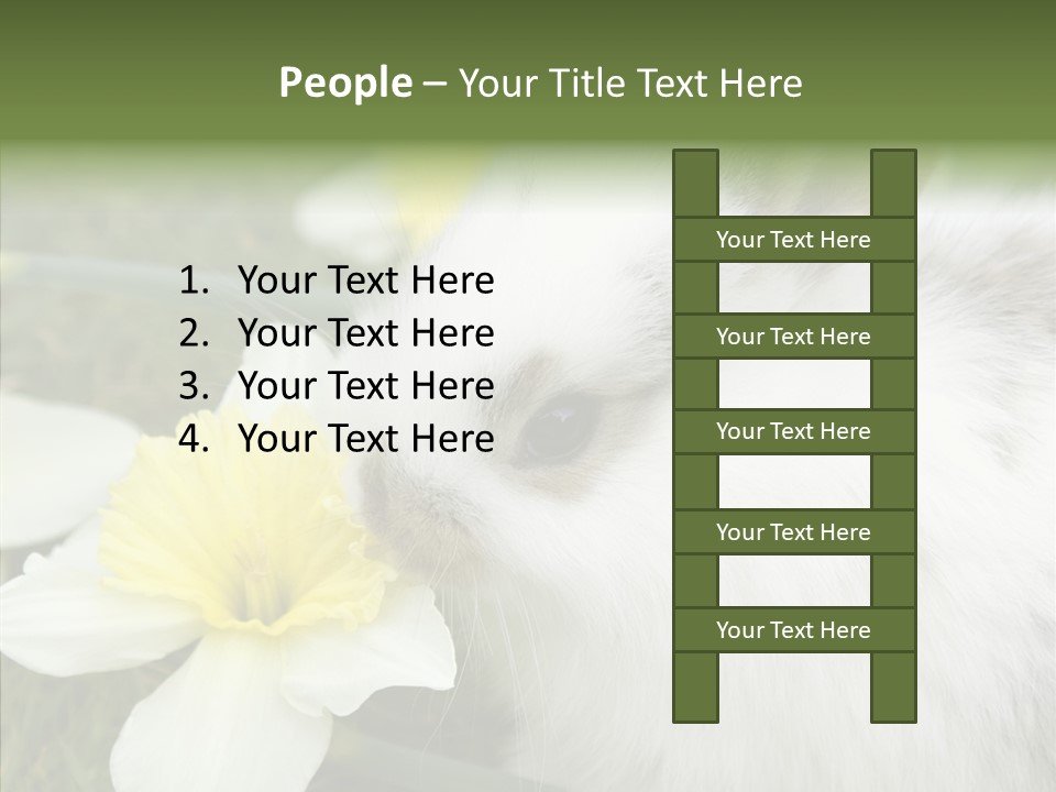 Cuddly Mammal Fuzzy PowerPoint Template