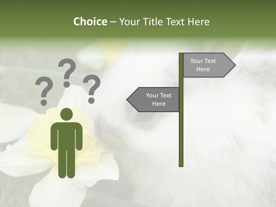 Cuddly Mammal Fuzzy PowerPoint Template