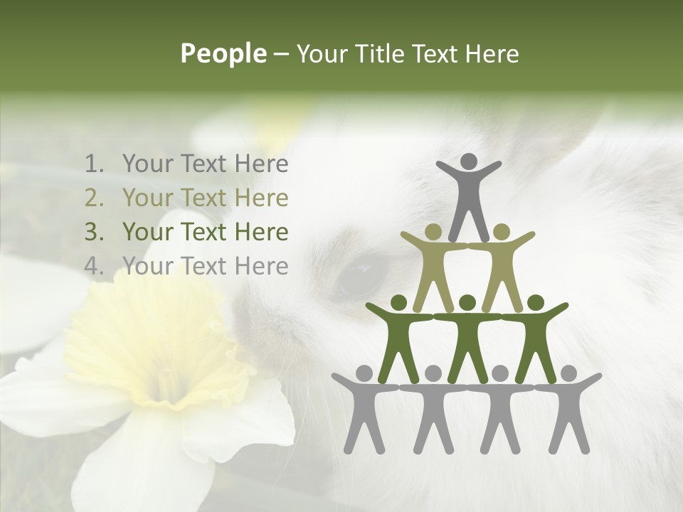 Cuddly Mammal Fuzzy PowerPoint Template