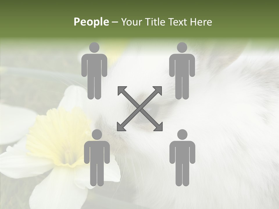 Cuddly Mammal Fuzzy PowerPoint Template