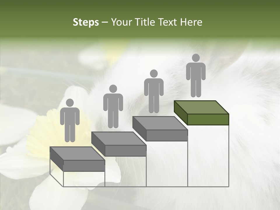 Cuddly Mammal Fuzzy PowerPoint Template