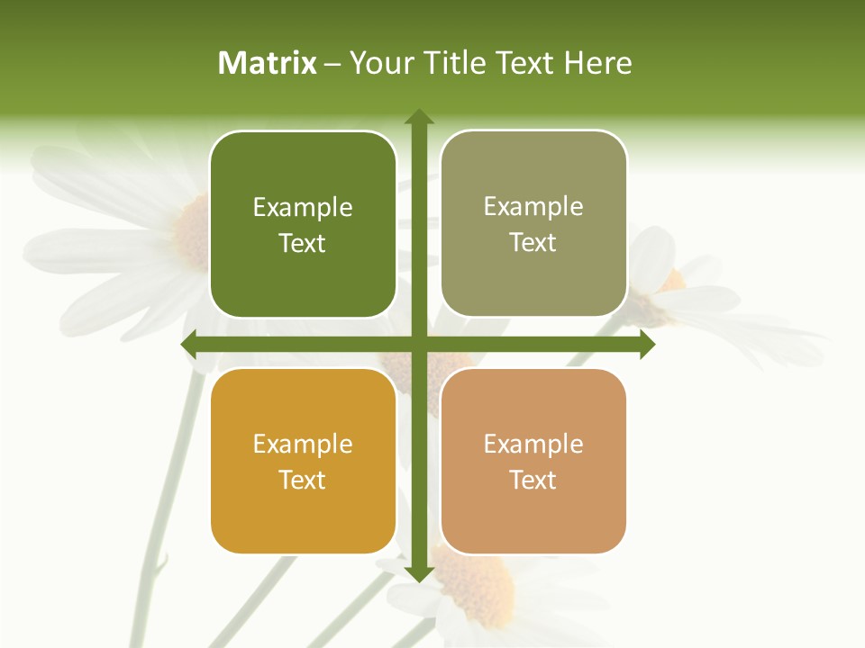 Conference Corporation Management PowerPoint Template