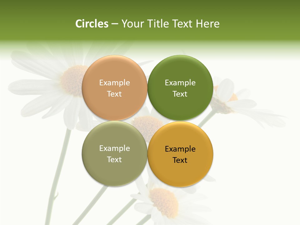 Conference Corporation Management PowerPoint Template