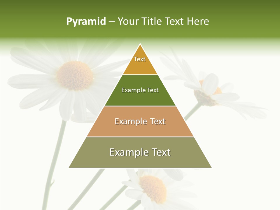 Conference Corporation Management PowerPoint Template
