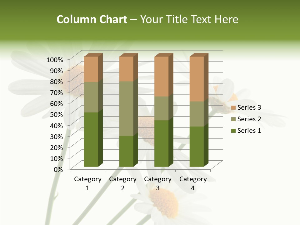 Conference Corporation Management PowerPoint Template