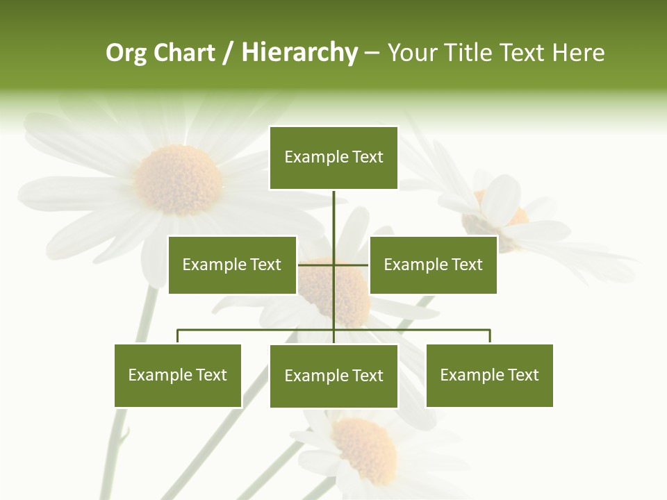 Conference Corporation Management PowerPoint Template