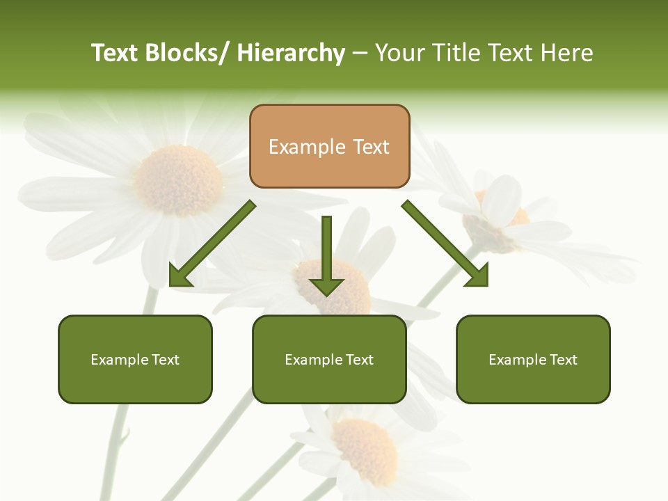 Conference Corporation Management PowerPoint Template
