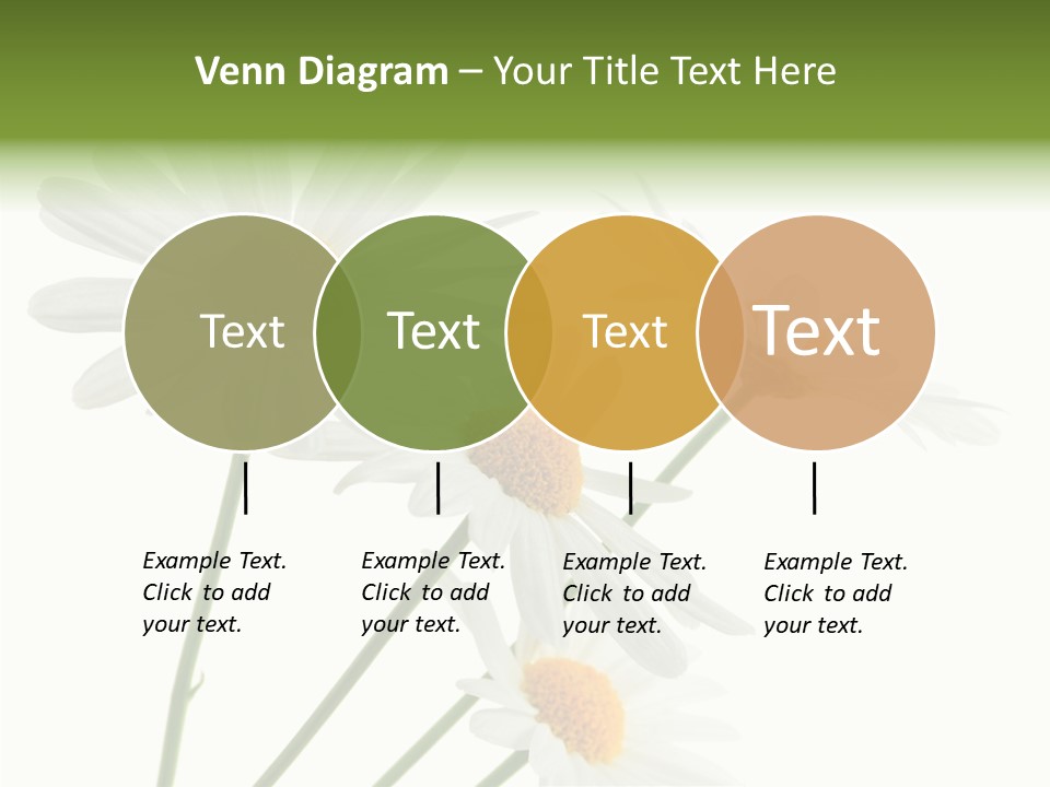 Conference Corporation Management PowerPoint Template