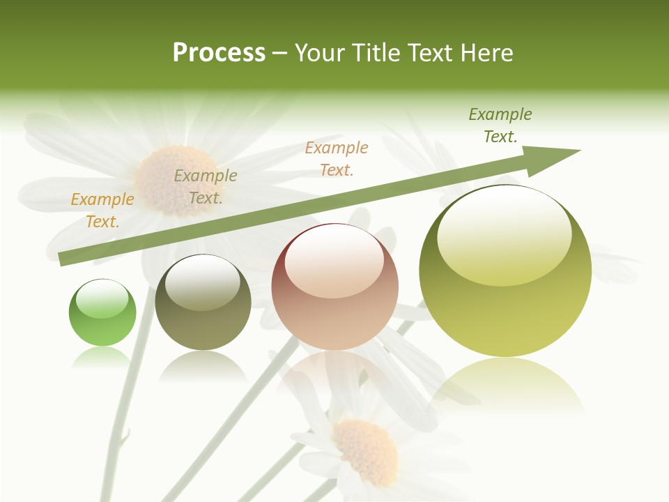 Conference Corporation Management PowerPoint Template