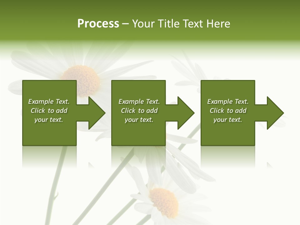 Conference Corporation Management PowerPoint Template