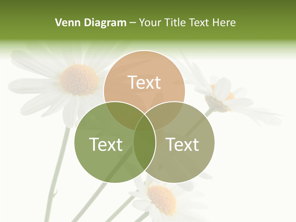 Conference Corporation Management PowerPoint Template