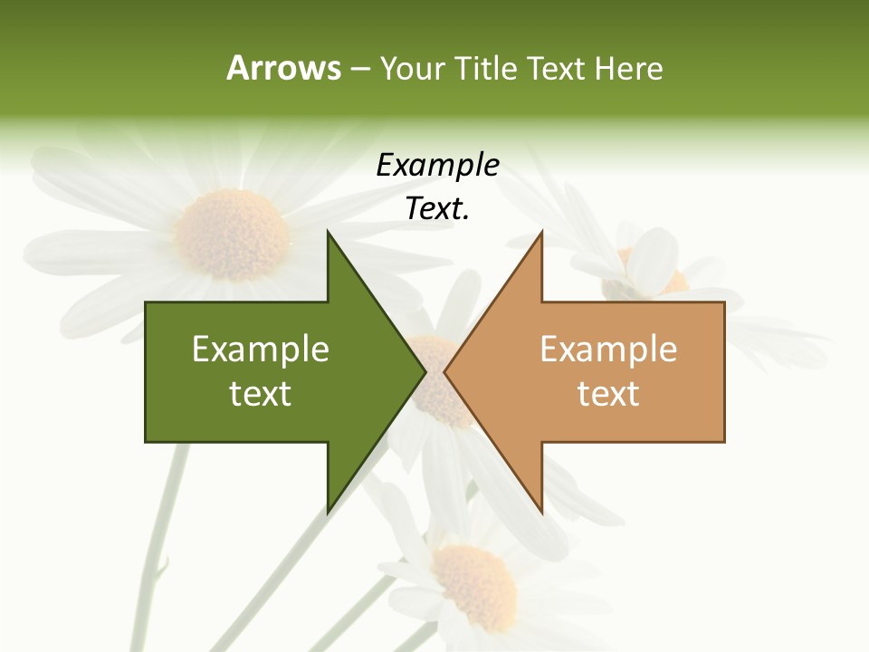 Conference Corporation Management PowerPoint Template