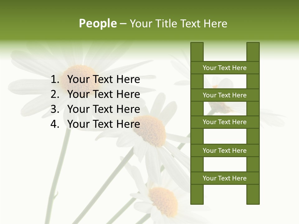 Conference Corporation Management PowerPoint Template