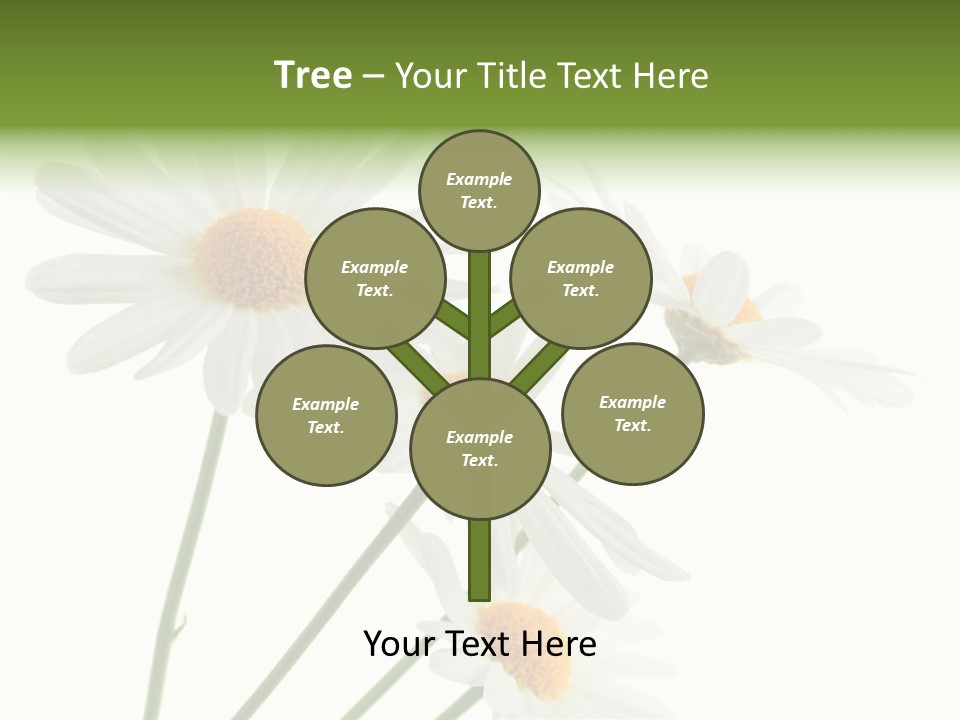 Conference Corporation Management PowerPoint Template