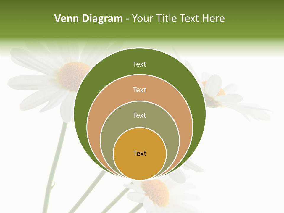 Conference Corporation Management PowerPoint Template
