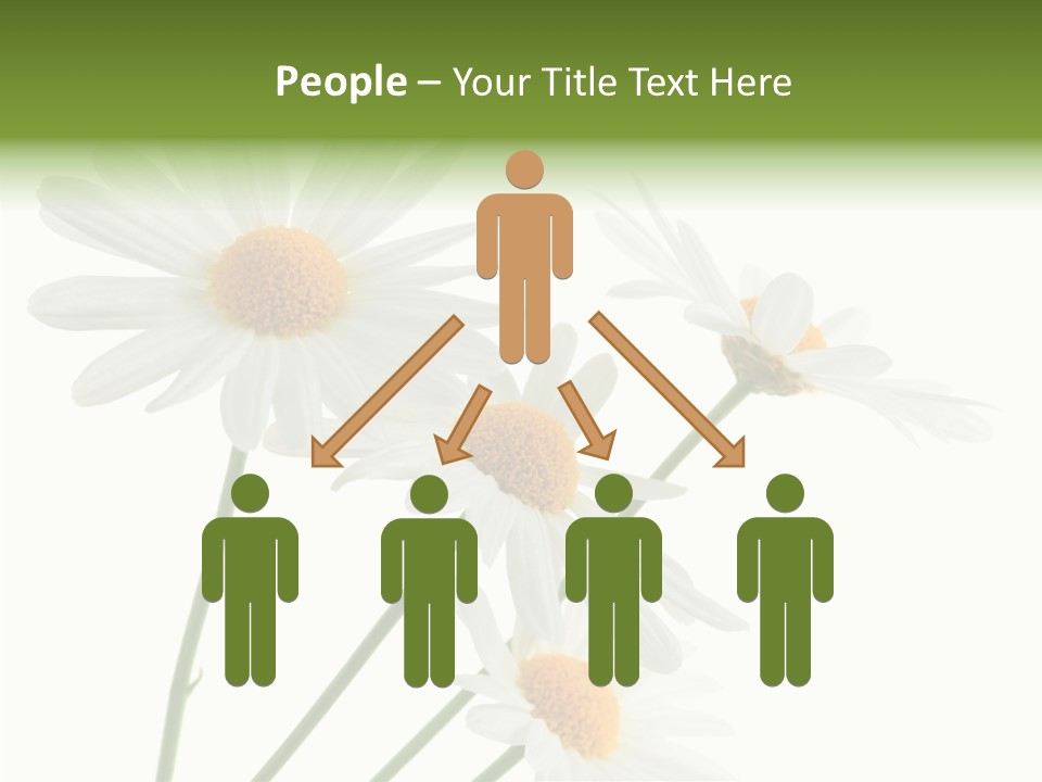 Conference Corporation Management PowerPoint Template