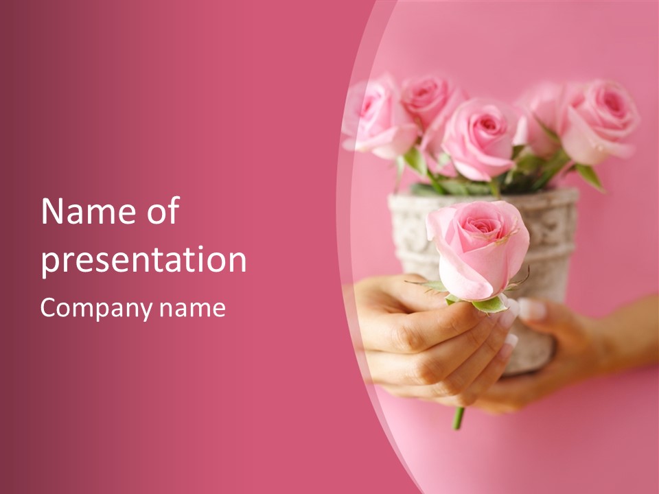 Soft Pink Holding PowerPoint Template