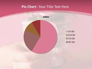 Soft Pink Holding PowerPoint Template