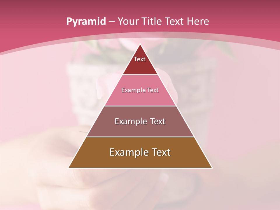 Soft Pink Holding PowerPoint Template