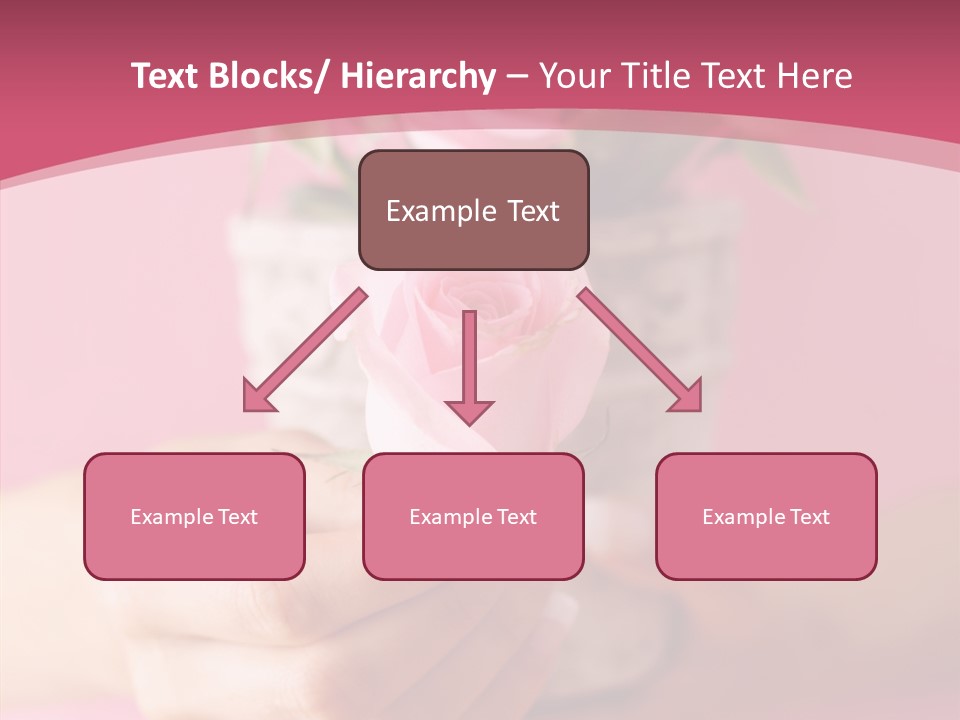 Soft Pink Holding PowerPoint Template