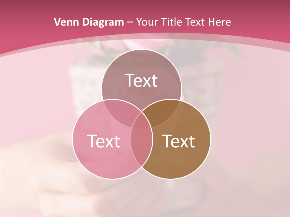 Soft Pink Holding PowerPoint Template