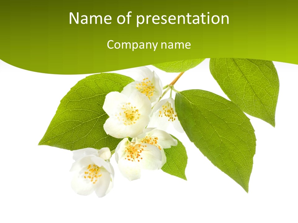 Communication Company Together PowerPoint Template