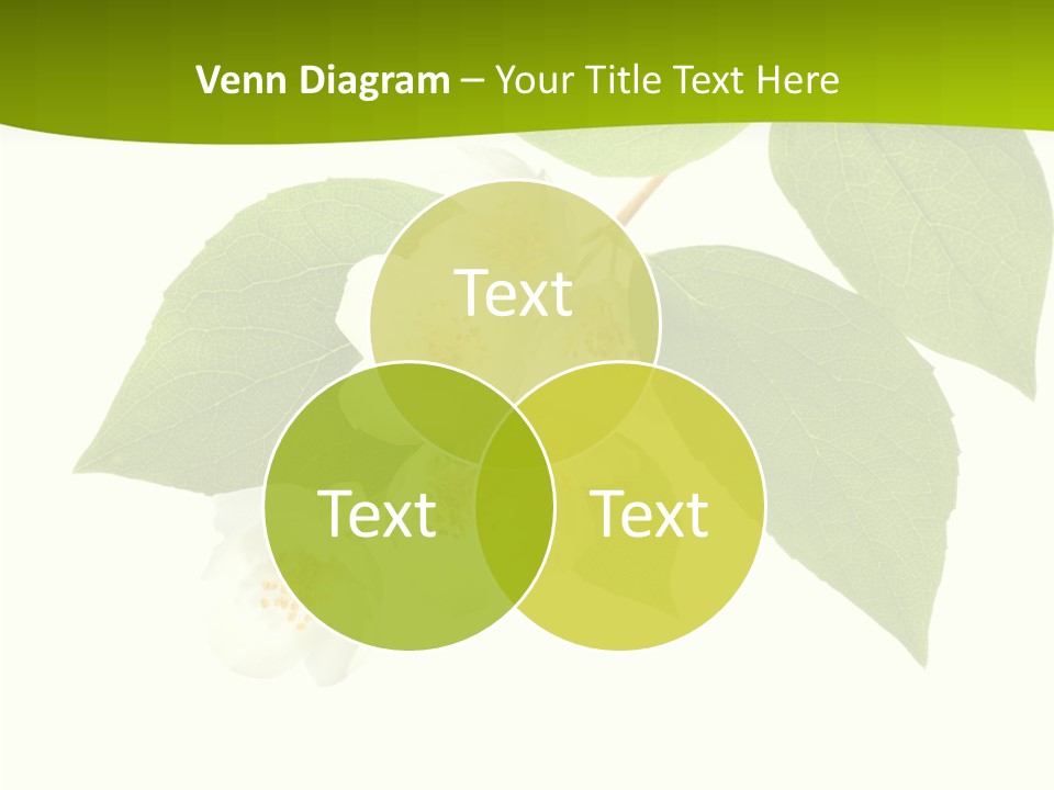 Communication Company Together PowerPoint Template